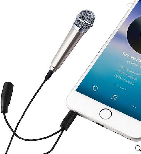 Μικρόφωνο Karaoke Ενσύρματo 1203876 Ασημί