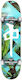 Red Dragon Palm Beach Complete Shortboard Τιρκουάζ