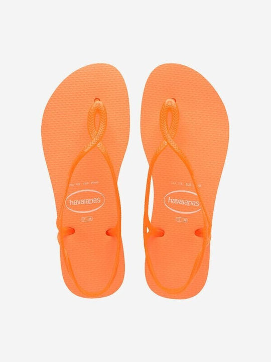 Havaianas Neon Σαγιονάρες σε στυλ Πέδιλα σε Πορτοκαλί Χρώμα