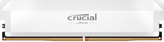 Crucial Pro DDR5 with Module 1x16GB and Speed 6000 for Desktop