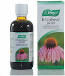 A.Vogel Echinaforce Echinacea 100ml