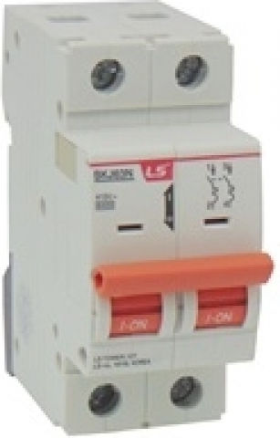 LS Automatic Circuit Breaker 4A Double-pole AC 03.018.0439
