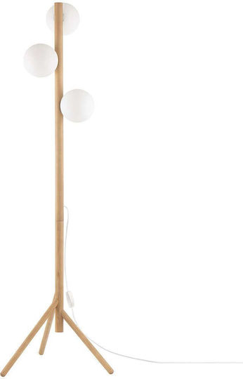 TK Lighting Estera Floor Lamp H150xW38cm. with Socket for Bulb G9 Brown
