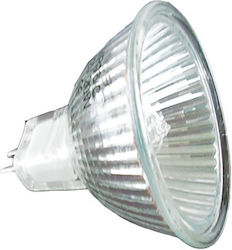 Brand Halogen Lamp GU4 28W