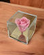 Lifeliles Forever Rose Beste Lehrerin