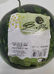 Mini Greek Organic Watermelon (Minimum Weight 1.9kg)
