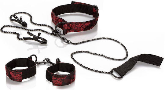 Calexotics Scandal Submissive BDSM Kit in Black Color
