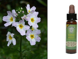 Crystal Herbs Αιθέριο Έλαιο Βιολέτα 10ml
