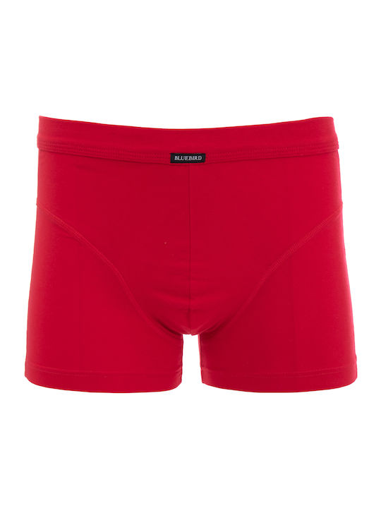 Palco Herren Boxershorts Rot 1Packung