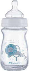 Bebe Confort Glasflasche Gegen Koliken mit Silikonsauger für 0-6 Monate 130ml 1Stück