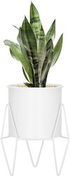 Springos Plant Pot Metal White
