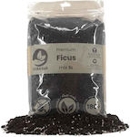 Pflanzsubstrat Premium Mix 5Es FicusMix5lt