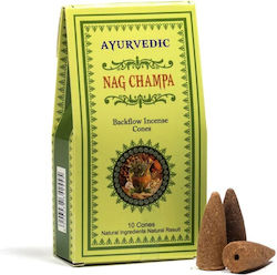 Ayurvedische Nag Champa Rückfluss-Räucherkegel 10 Stück Ayurvedische Nag Champa Rückfluss-Räucherkegel 10 Stück