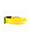 Hundehalsband aus in Gelb Farbe Mittel