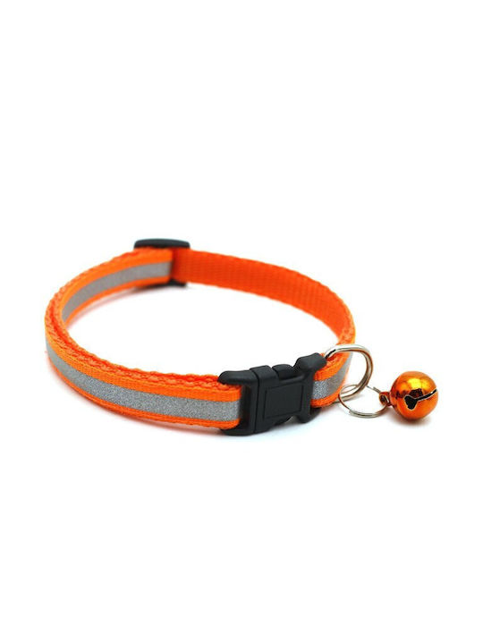Dog Collar in Orange color