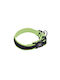 Nobby Dog Collar in Yellow color