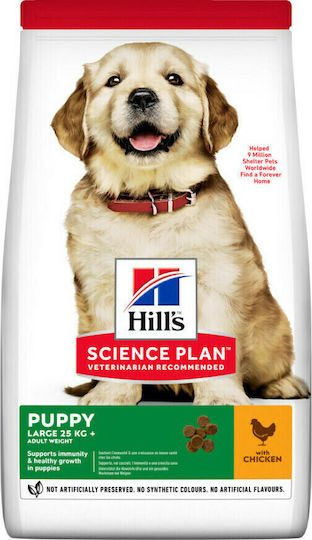 Hill's Science Plan Puppy 14.5kg Hrană Uscată pentru Căţei de Rase Mari cu Pui