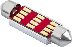 Festoon Λάμπα C5W LED Ψυχρό Λευκό Festoon Λάμπα C5W LED Ψυχρό Λευκό