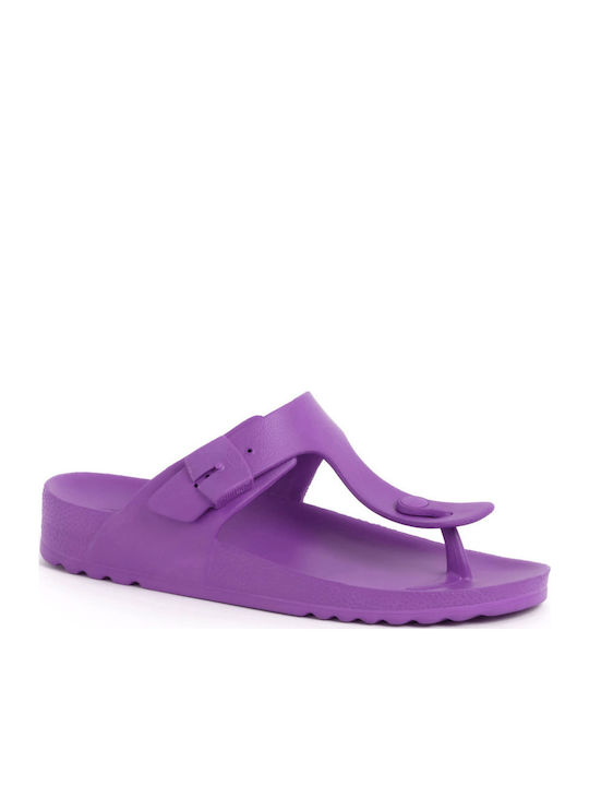 Scholl