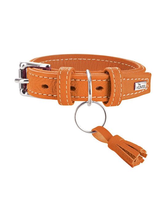 Hunter Guler pentru câini Piele în culoarea Portocaliu 52cm