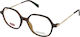 Levi's Women's Brown Prescription Eyeglass Fram...
