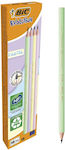 Bic Pencil HB 12pcs