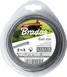 Bradas Μεσινέζα Αστεροειδής