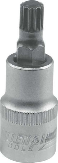 Dedra Bit-Stecknuss mit Spline-Bit und Antriebsvierkant 1/2'' Größe M8 1Stück