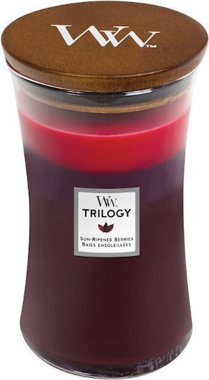 WoodWick Αρωματικό σε Βάζο