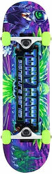 Tony Hawk Komplett Kurzboard Lila
