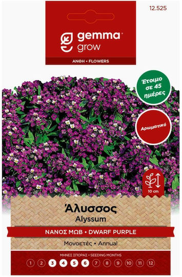 Gemma Samen Süße Alyssum Mangekyō