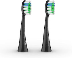 TrueLife Sonicbrush Ersatzköpfe für 2 Stück