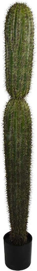 Κάκτος σε Γλάστρα 165cm Supergreens