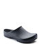 Birkenstock Classic Birki Antistatic Anatomici Sabot Albastre