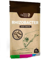 Royal Queen Seeds Easy Κοκκώδες Λίπασμα Φυκιών Ασβεστίου, Χαλκού 100gr