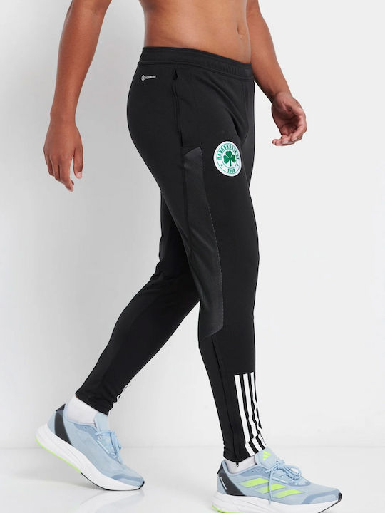 Adidas Παναθηναϊκός Παντελόνι Προπόνησης Ανδρικό 2023-24