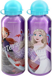 Disney Frozen 2 Frozen 500ml (Diverse Modele/Culori)