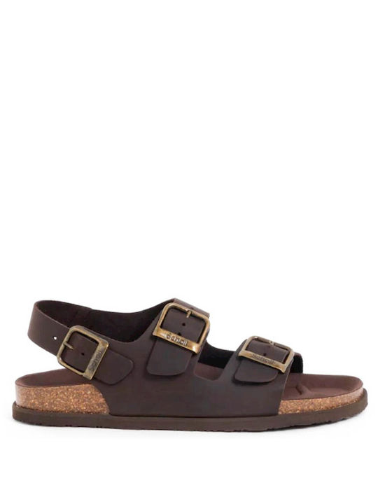 Scholl Men's Sandals Brown