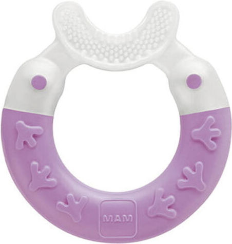 Mam Bite & Brush Μασητικός Κρίκος Οδοντοφυΐας Χωρίς BPA για 3 m+ Μωβ