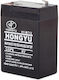 UPS Battery with Capacity 4.5Ah and Voltage 6V AT02001 1pcs