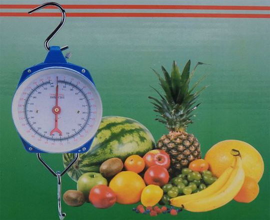Professional Hanging Scale with Weighing Capacity of 100kg and Division 1000gr