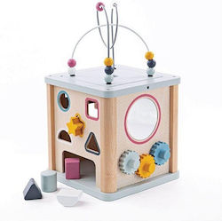 Big Jigs Activity Cube