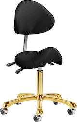 Salon Stools Scaun