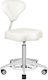 Salon Stools Wheeled Stool with Backrest White