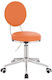 Salon Stools Scaun