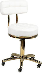 Salon Stools Wheeled Stool with Backrest White