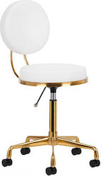 Salon Stools Wheeled Stool with Backrest White 0140260