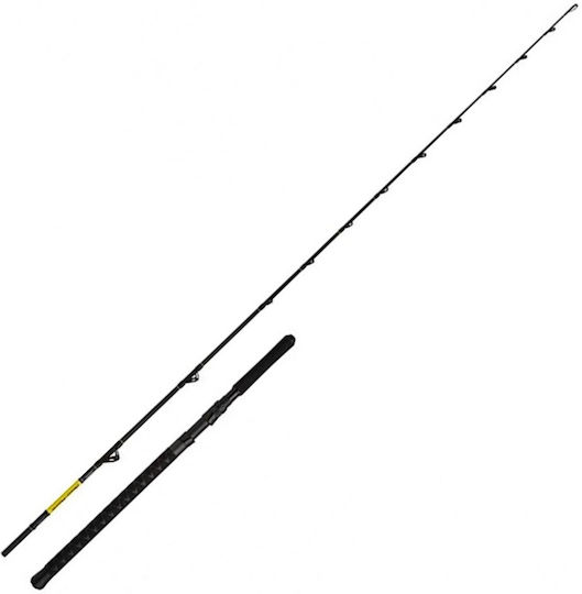 Beastmaster Cx Boat Slim Angelruten für Trolling 2.29m BMCXBTSL762030B