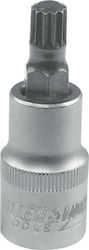 Dedra Bit-Stecknuss mit Spline-Bit und Antriebsvierkant 1/2'' Größe M12 1Stück