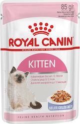 Royal Canin Kitten Gelee 85g